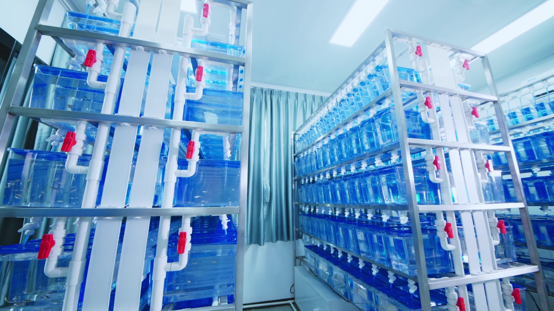 In Vitro Efficacy Evaluation